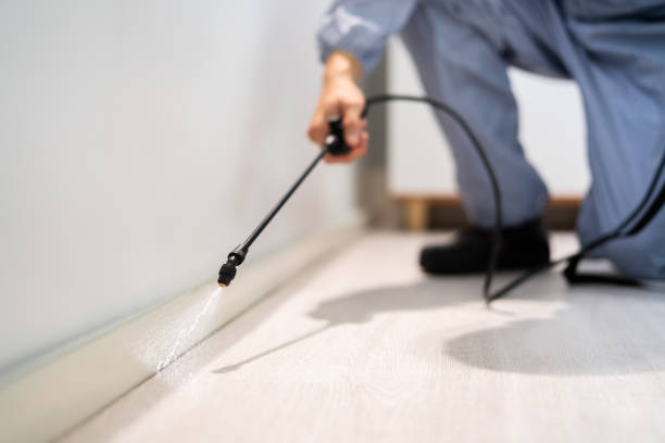 Rodent Entry Point Assessment in Rossmoor