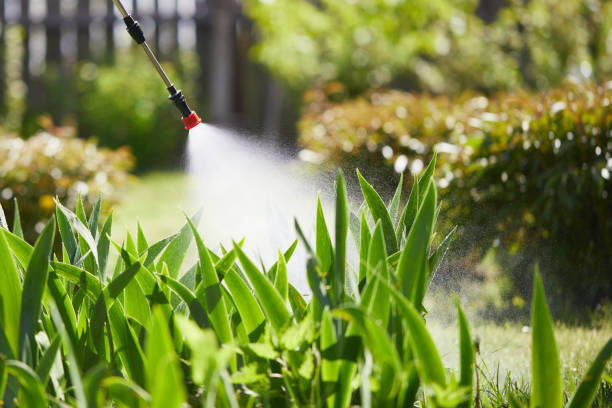 Tamper-Resistant Bait Stations for Rodents in Rossmoor