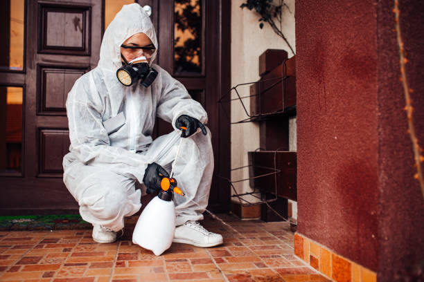 Attic and Crawl Space Rodent Treatment in Rossmoor